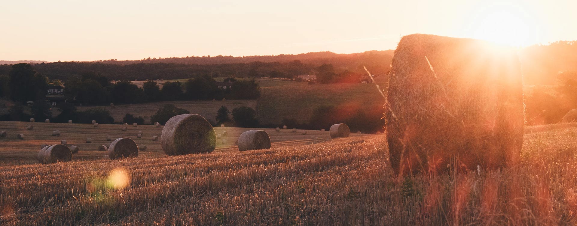 Helyszínelési és Területi Agrárkapcsolati Főosztál